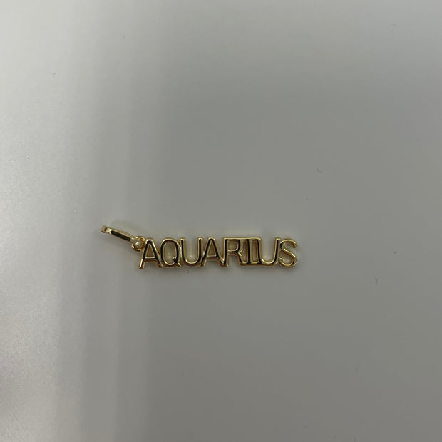 Zodiac Charms